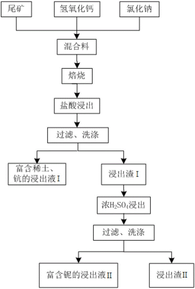 Method for leaching niobium, scandium and rare earth elements from tailings