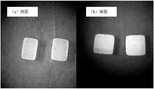 A kind of multilayer gold electrode chip capacitor and its preparation method