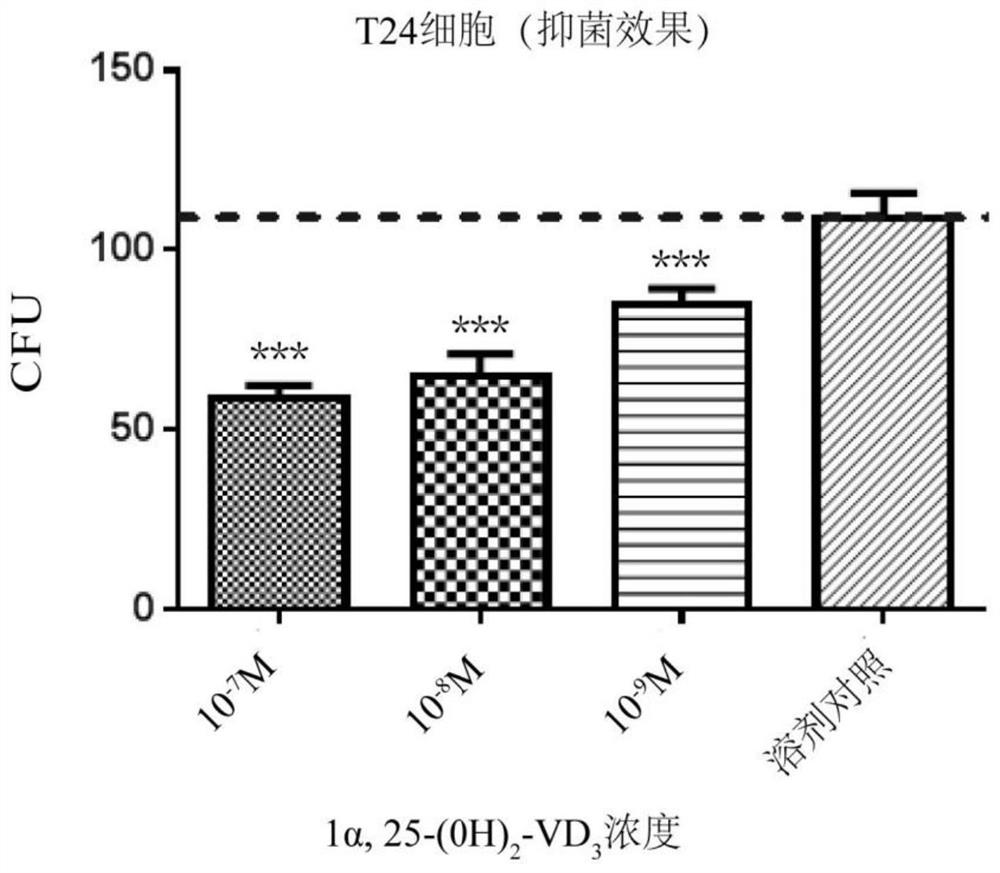 Antibacterial application of vitamin D and composition thereof
