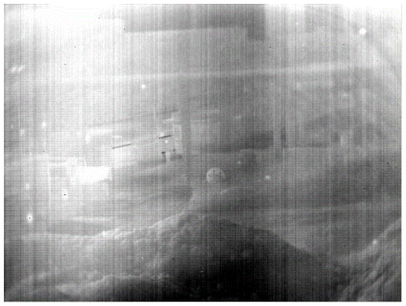 Calibration and non-uniformity correction method for area array infrared camera based on variable integration time