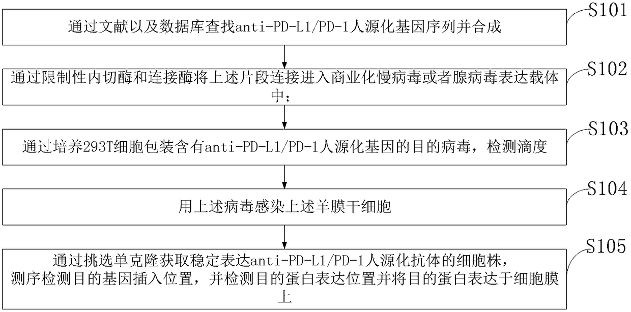 Anti-tumor preparation and preparation method thereof