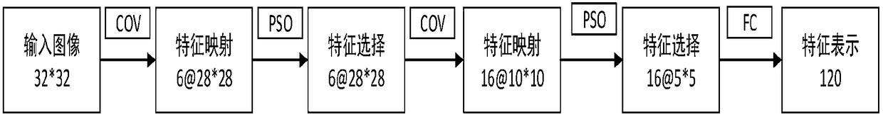 Multi-biological-feature fusion algorithm based on particle swarm algorithm and typical association analysis method