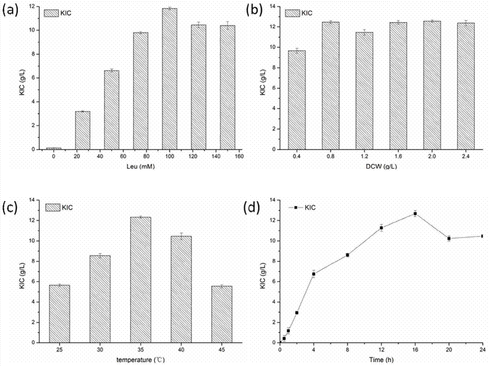 Method for producing alpha-ketoisocaproate by whole-cell transformation