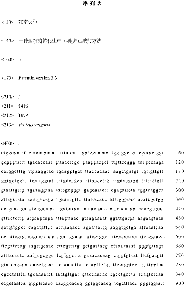 Method for producing alpha-ketoisocaproate by whole-cell transformation