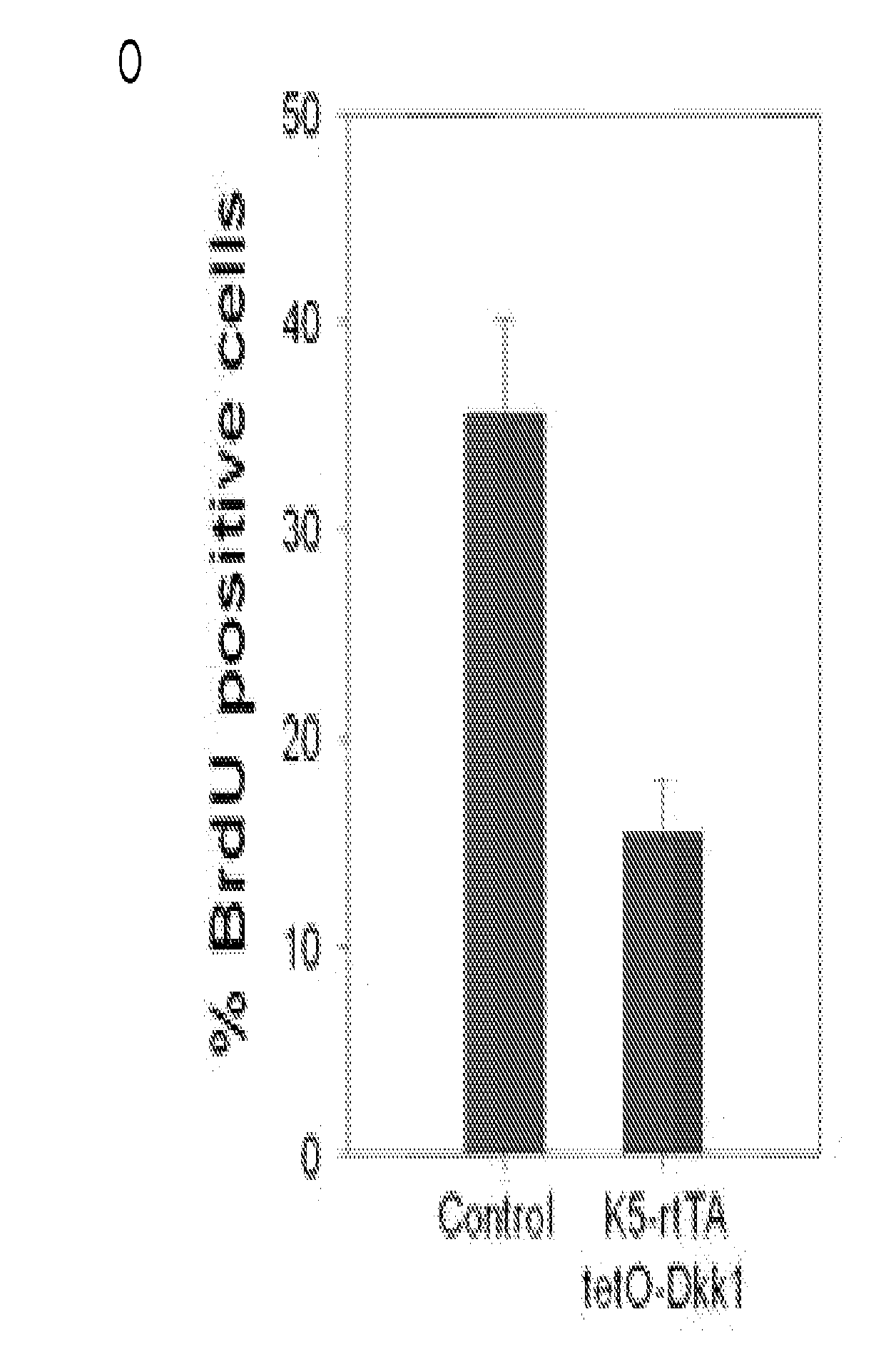 Inhibition of hair follicle growth by the wnt inhibitor dkk1