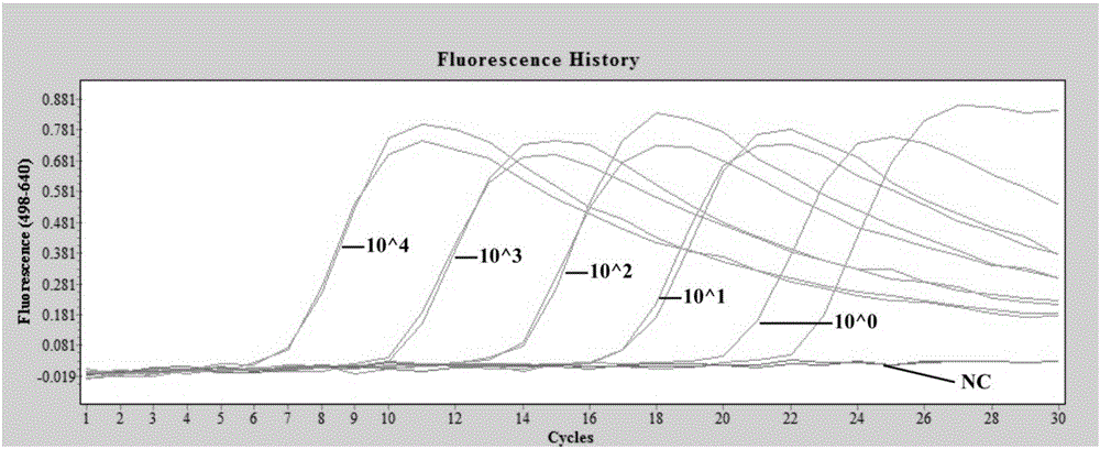 One step method inverse transcription PCR kit for detecting and differentiating Zika viruses and detection method thereof