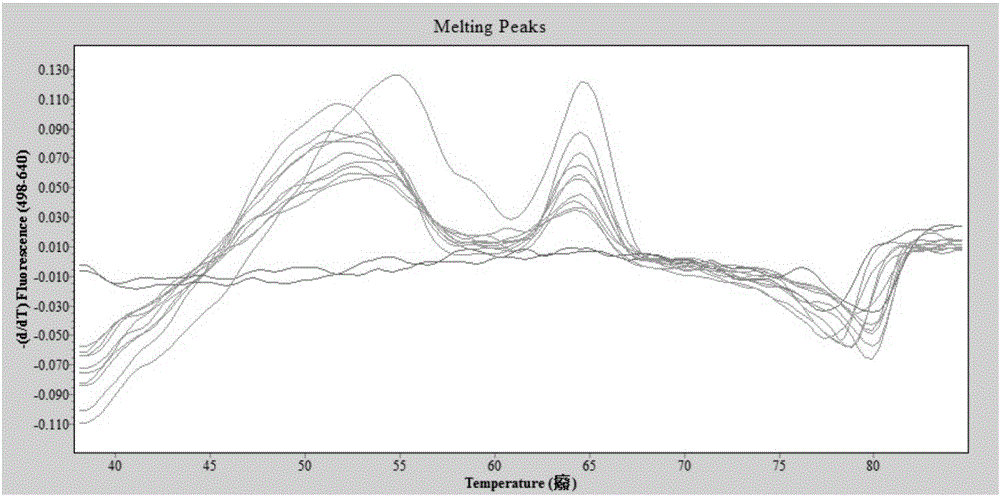 One step method inverse transcription PCR kit for detecting and differentiating Zika viruses and detection method thereof