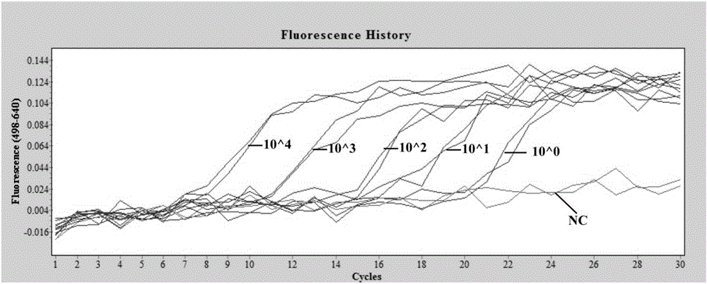 One step method inverse transcription PCR kit for detecting and differentiating Zika viruses and detection method thereof