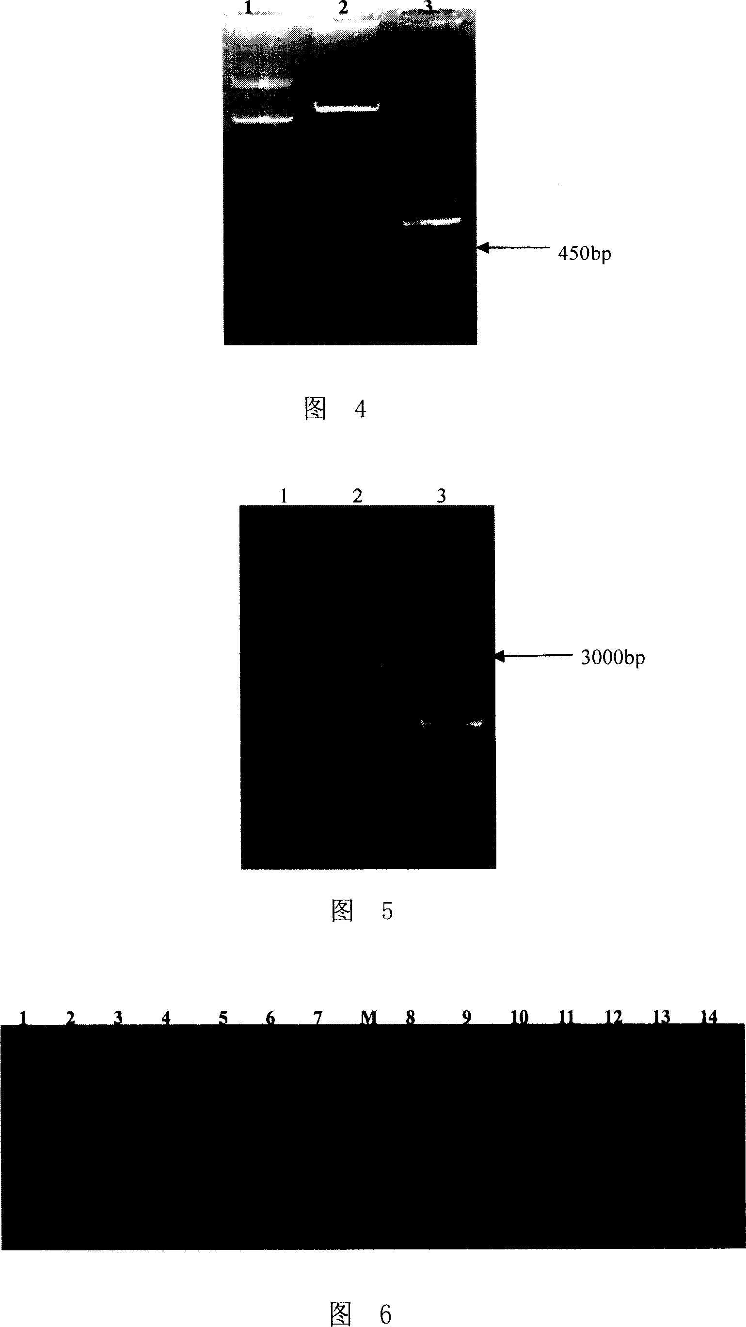 Method for improving stress resistance of plant