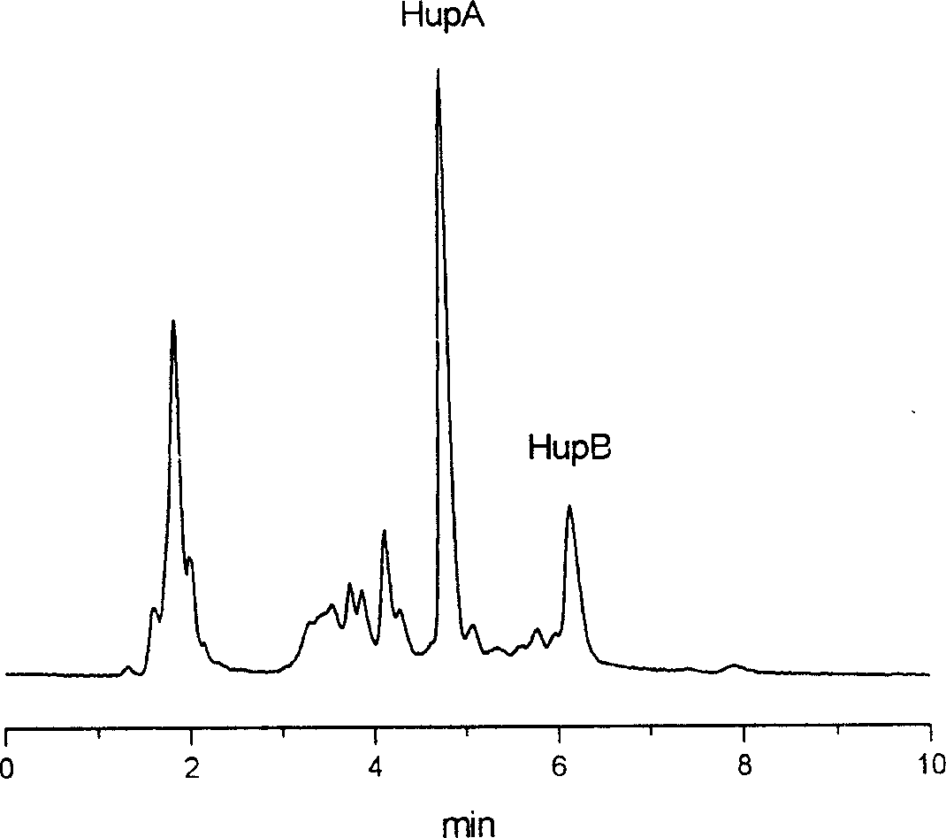 Method for analyzing and separating preparation of Huperzine A and Huperzine B