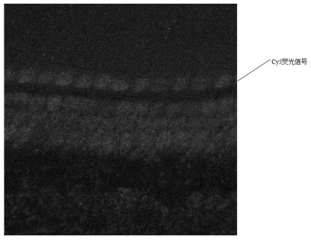 Application of a DNA tetrahedral nanostructure as a drug carrier for inner ear diseases