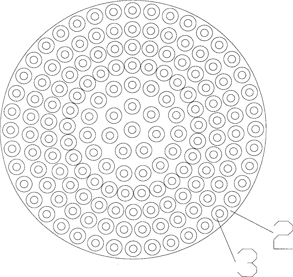 Strawberry transportation device