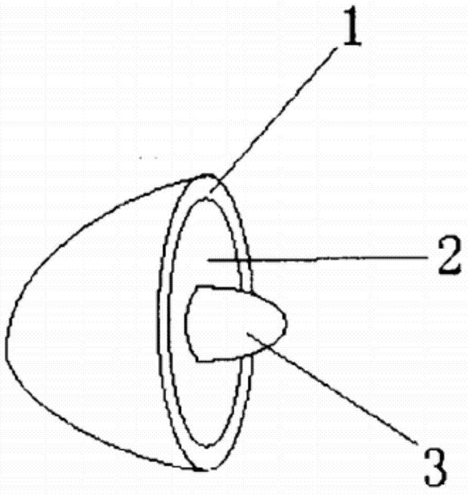 Multi-flavor bonbon and preparation method thereof