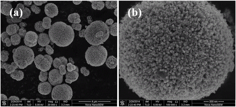 Lithium-rich manganese-based cathode material precursor, cathode material and preparation method thereof