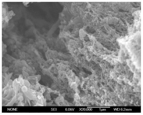 Preparation method and application of large strain superelastic PVA(polyvinyl alcohol)/MCNTS (multi-walled carbon nanotube) hydrogel