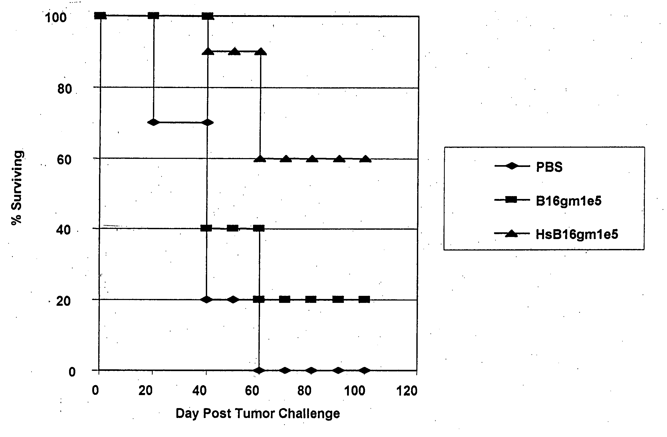 Method for increasing tumor cell immunogenicity using heat shock protein