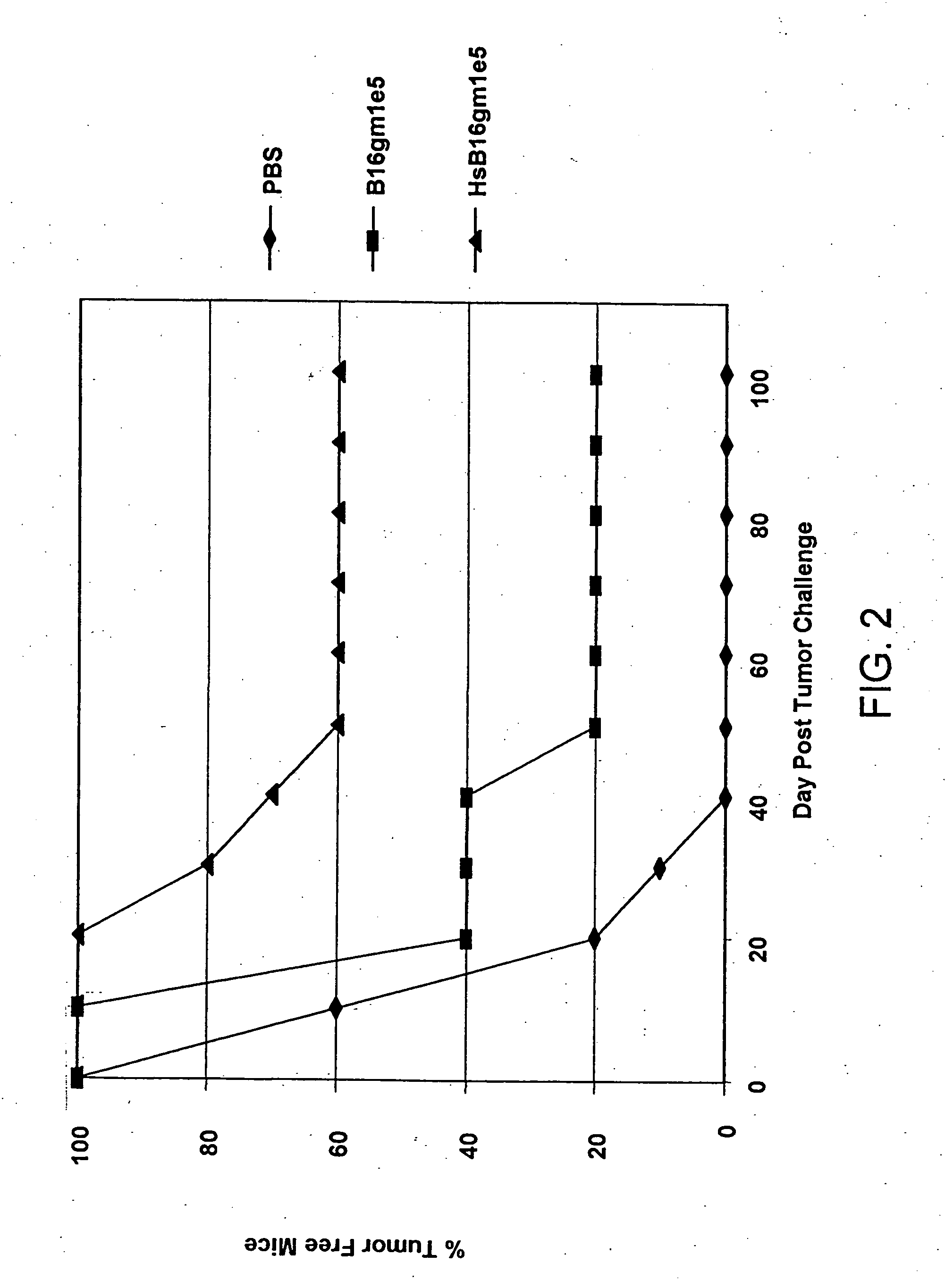 Method for increasing tumor cell immunogenicity using heat shock protein