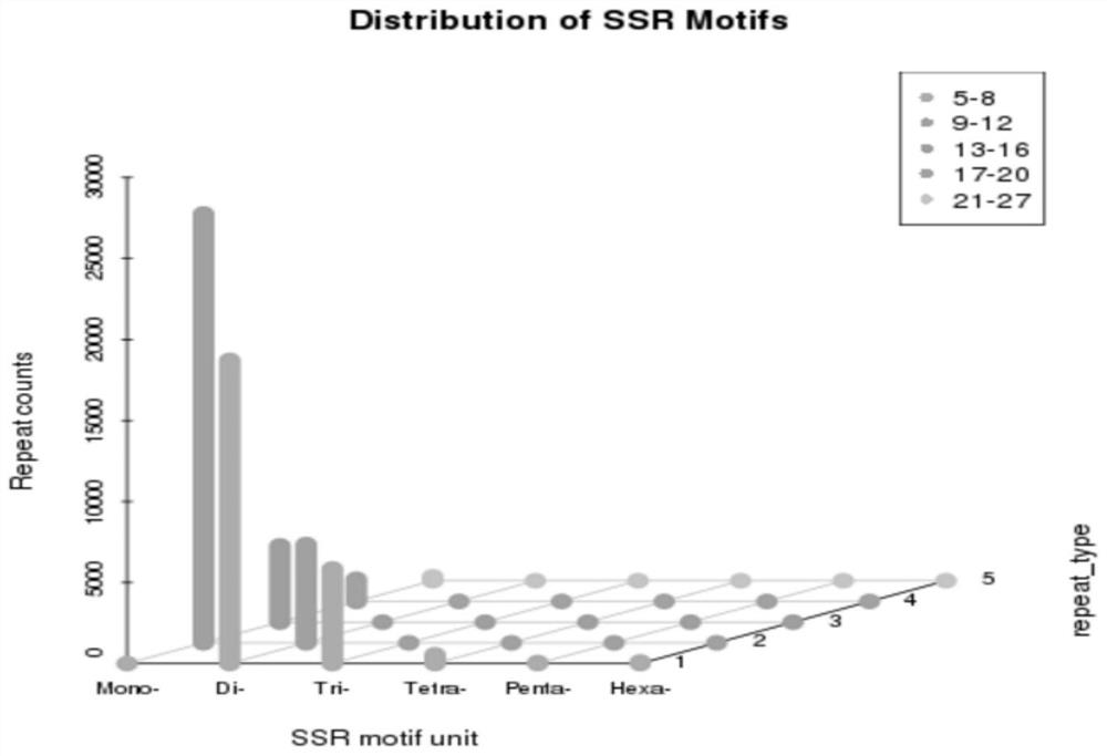 A method for developing elderberry ssr primers based on transcriptome sequencing