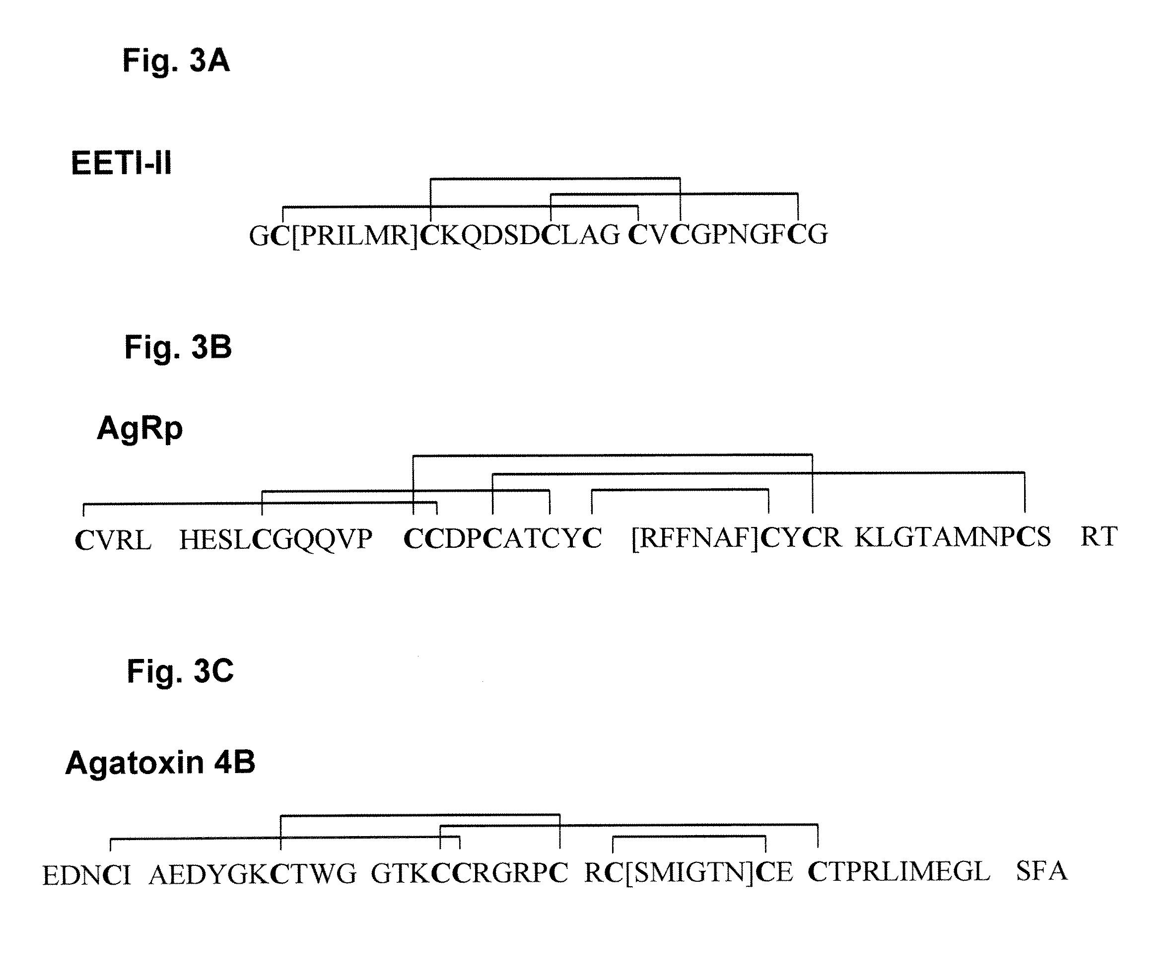 Engineered Integrin Binding Peptides