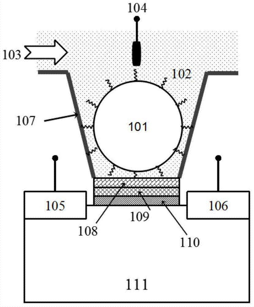 Electronic sensor and gene detection method based on electronic sensor