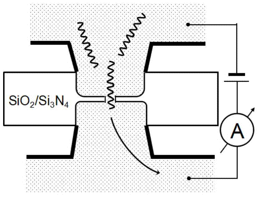 Electronic sensor and gene detection method based on electronic sensor