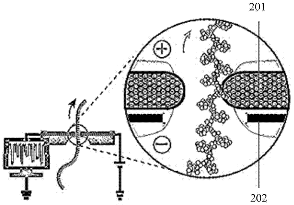 Electronic sensor and gene detection method based on electronic sensor