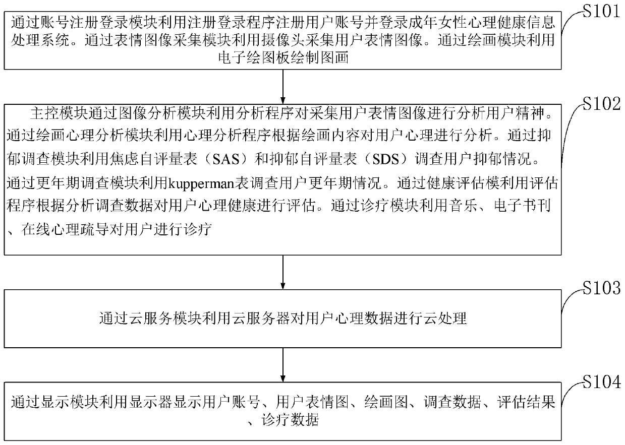 Adult female psychological health information processing system and information processing method