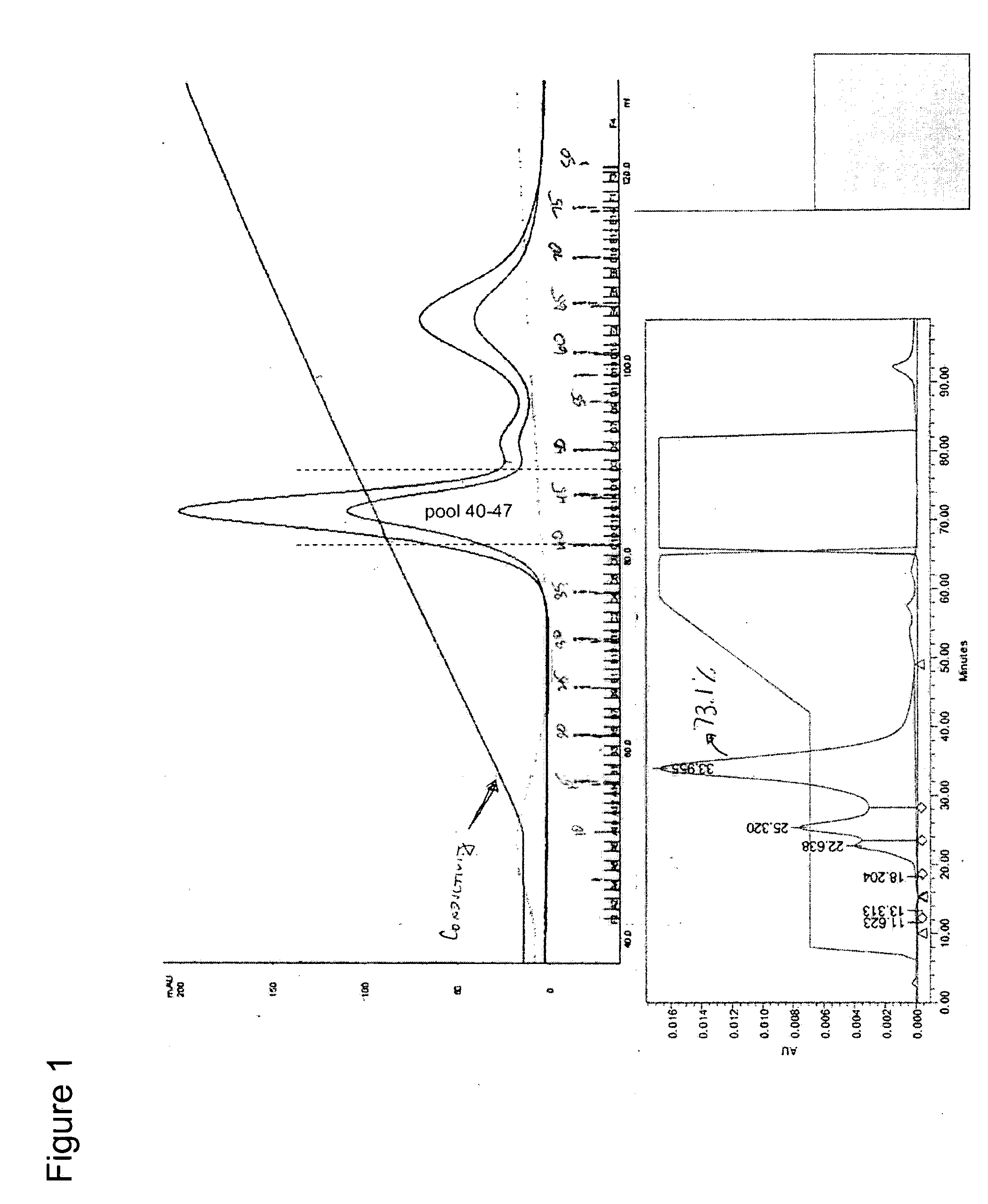 Purified rhlGF-I/rhlGFBP-3 complexes and their method of manufacture