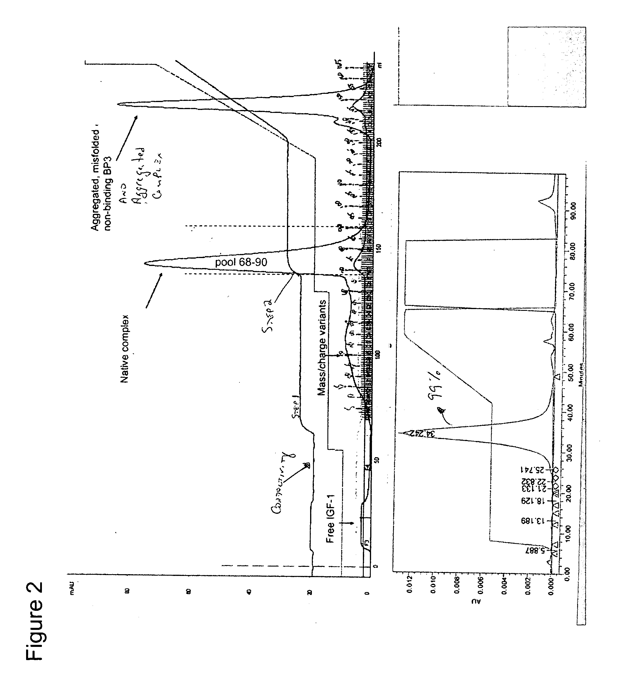 Purified rhlGF-I/rhlGFBP-3 complexes and their method of manufacture