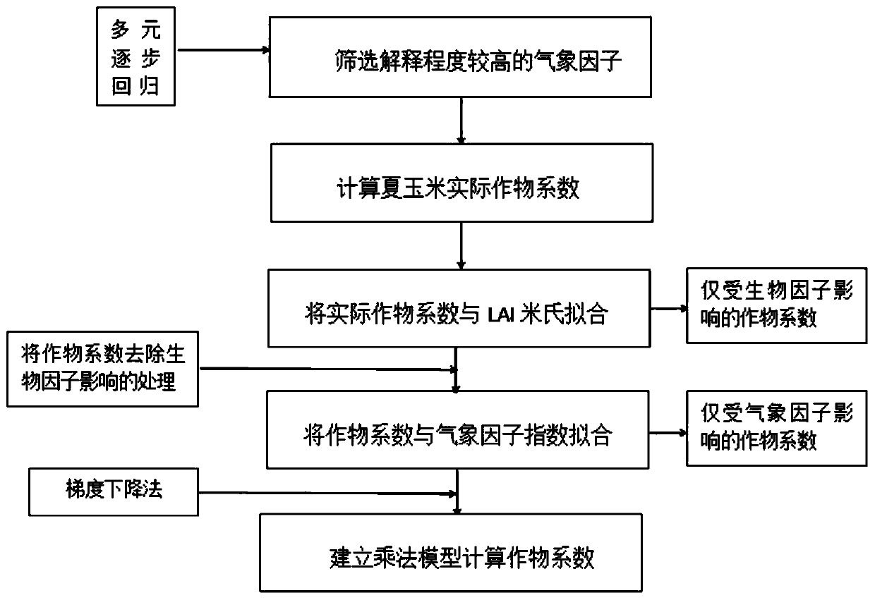 Method for calculating summer corn actual crop coefficient based on weather and biological factors