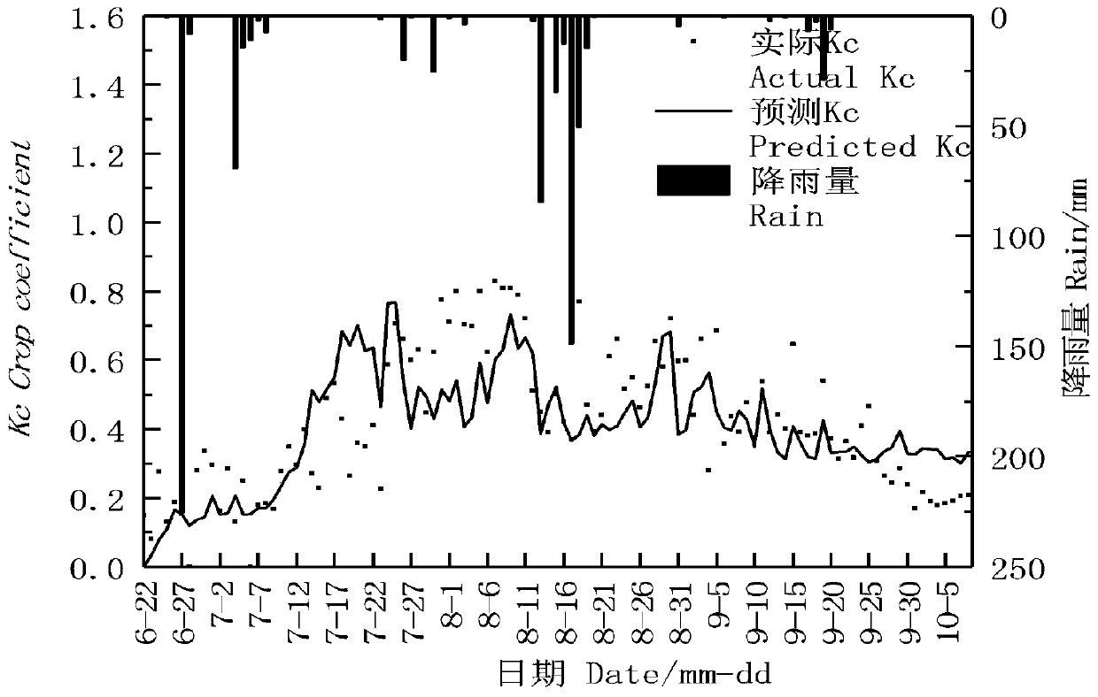 Method for calculating summer corn actual crop coefficient based on weather and biological factors