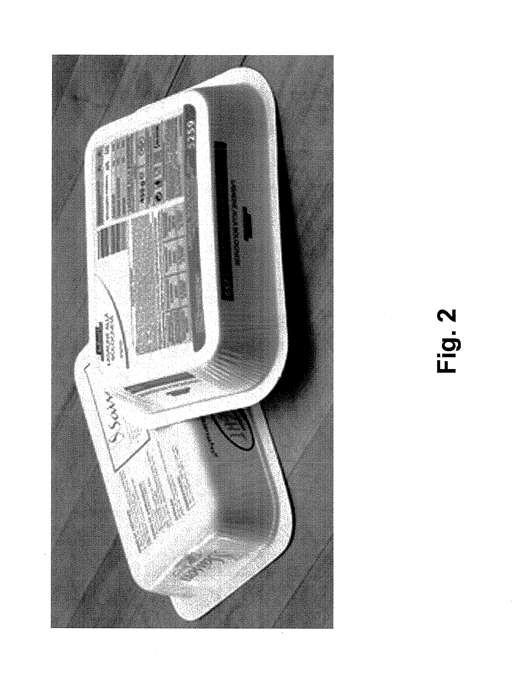 Disposable food tray