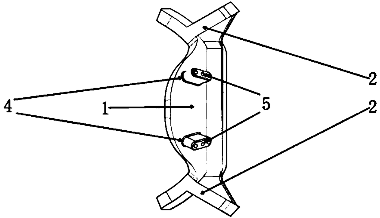 Auxiliary device for vitreous cavity injection