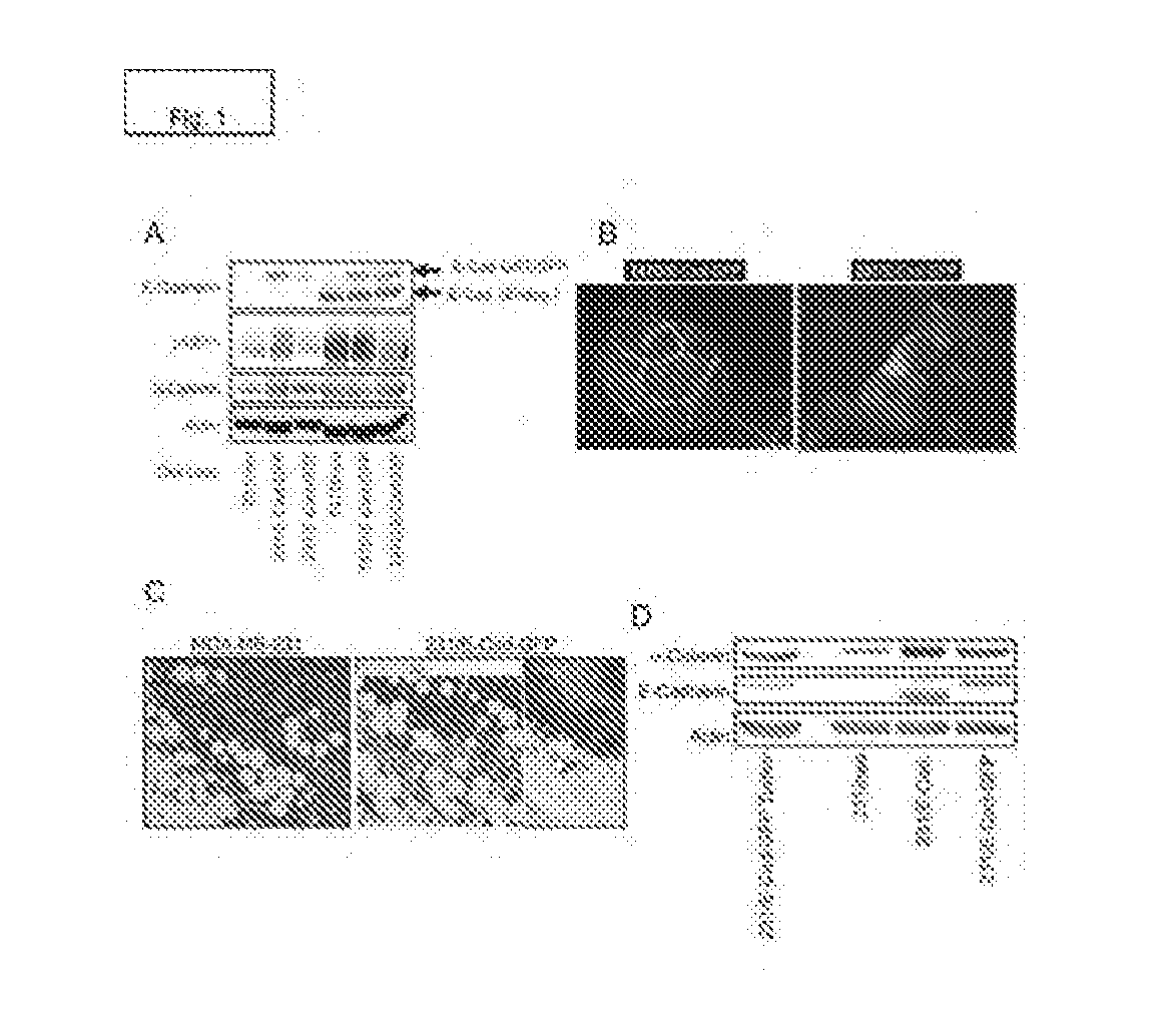 Combination compositions and methods of treatment