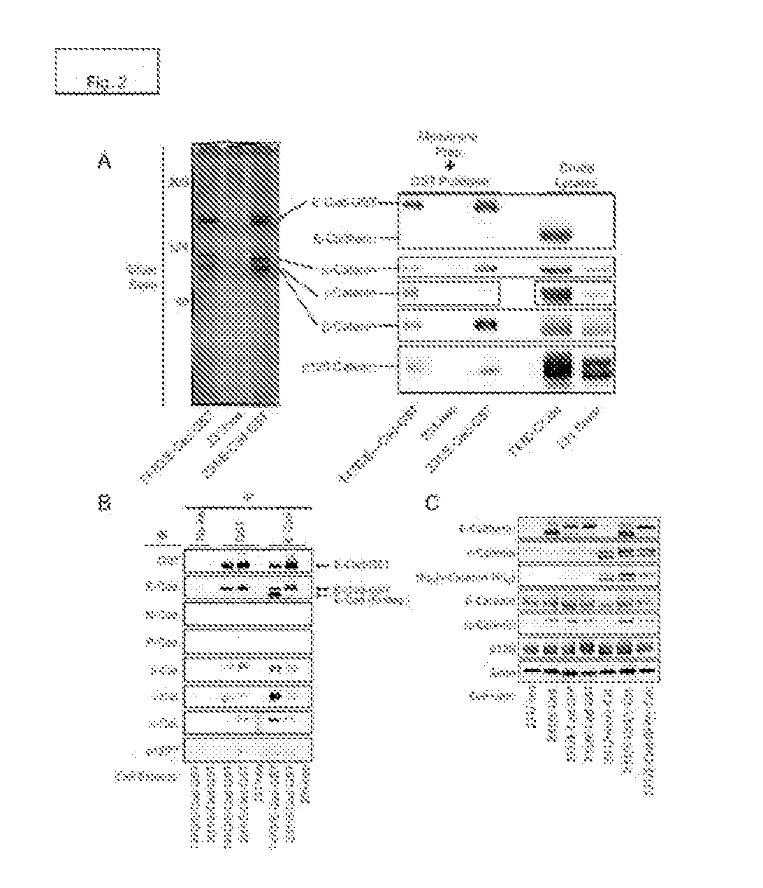 Combination compositions and methods of treatment