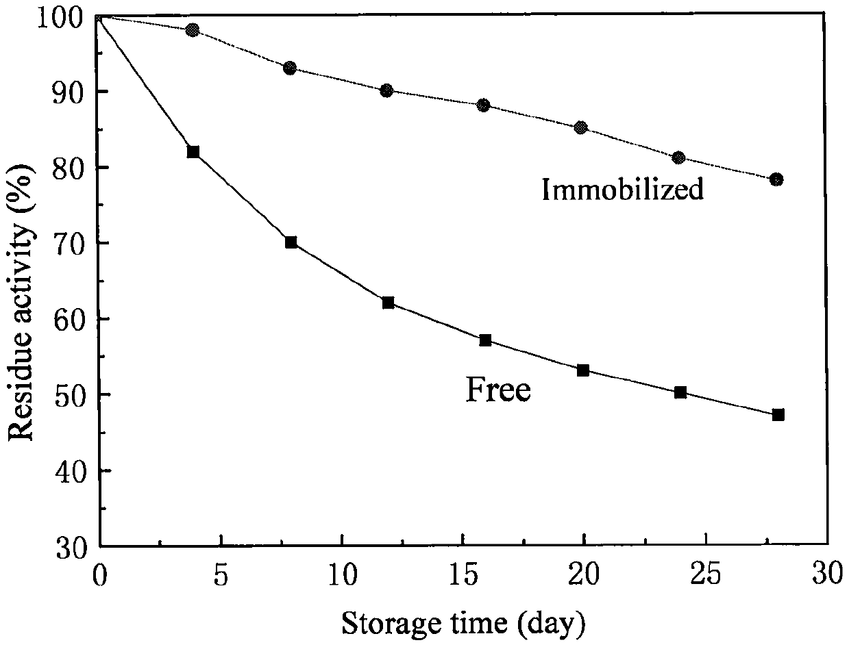 Co-crosslinking immobilization method for acid urease