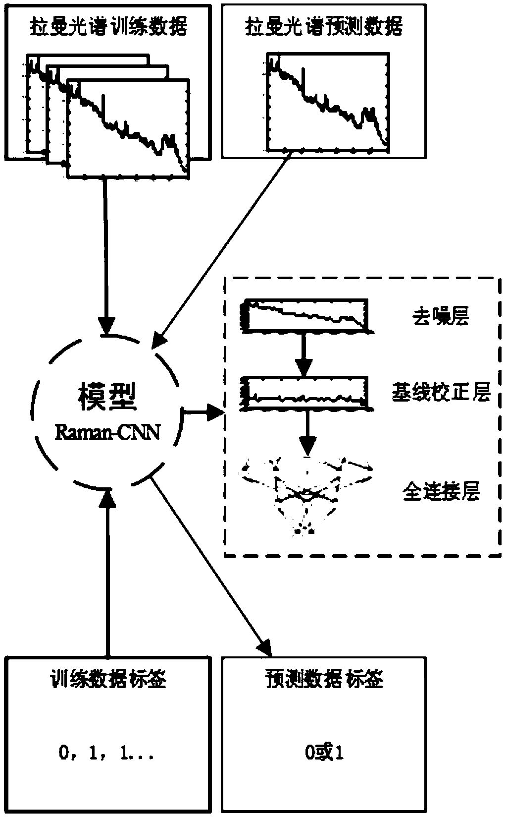 A Raman spectroscopic analysis method based on a convolution neural network