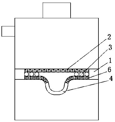 Shampoo and preparation technology thereof