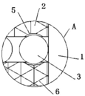 Shampoo and preparation technology thereof