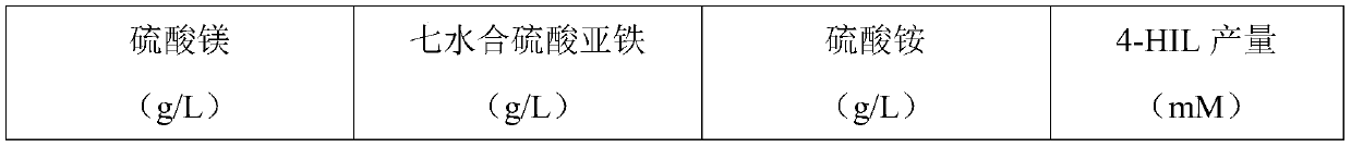 Genetic engineering bacterium for producing 4-hydroxyisoleucine and application thereof