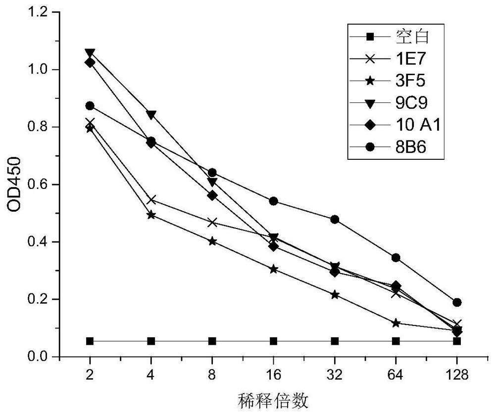 Antibody with double mic binding activity and application thereof