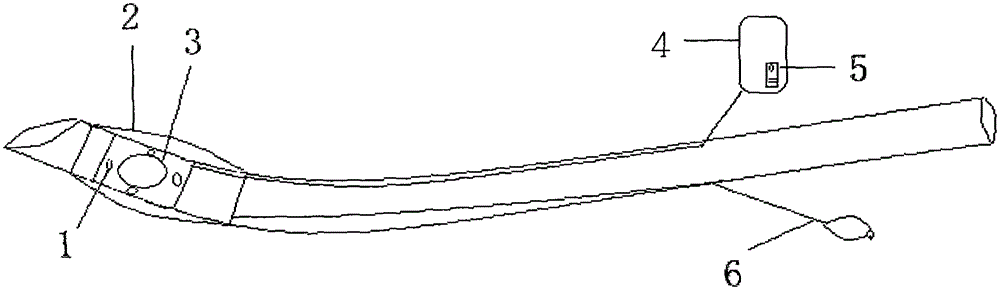 Auxiliary percutaneous tracheostomy tube