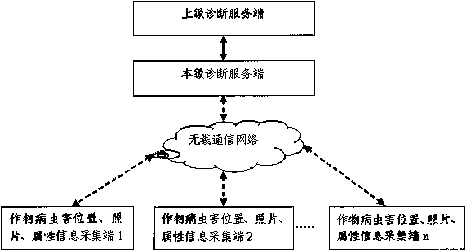 Crop disease and insect information diagnosis system and method