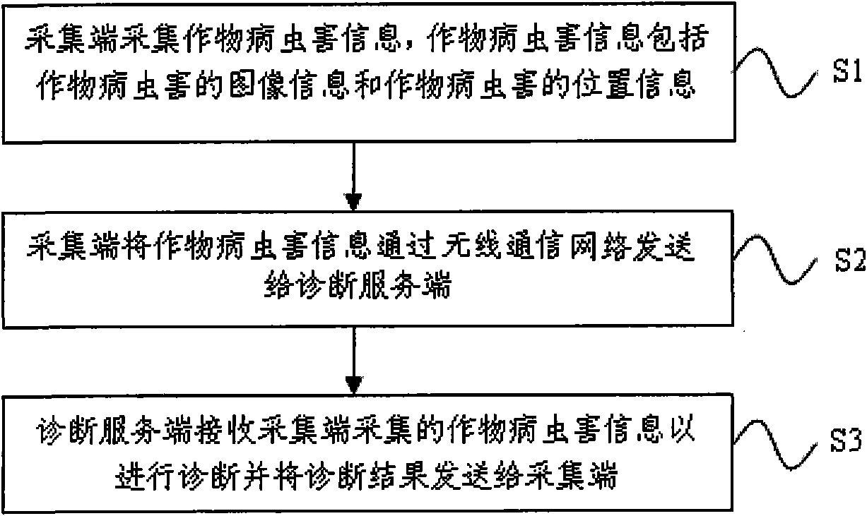 Crop disease and insect information diagnosis system and method