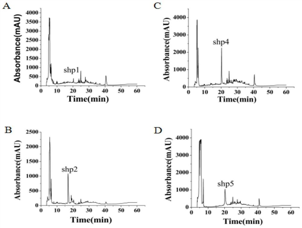 Anticoagulant polypeptide and application thereof