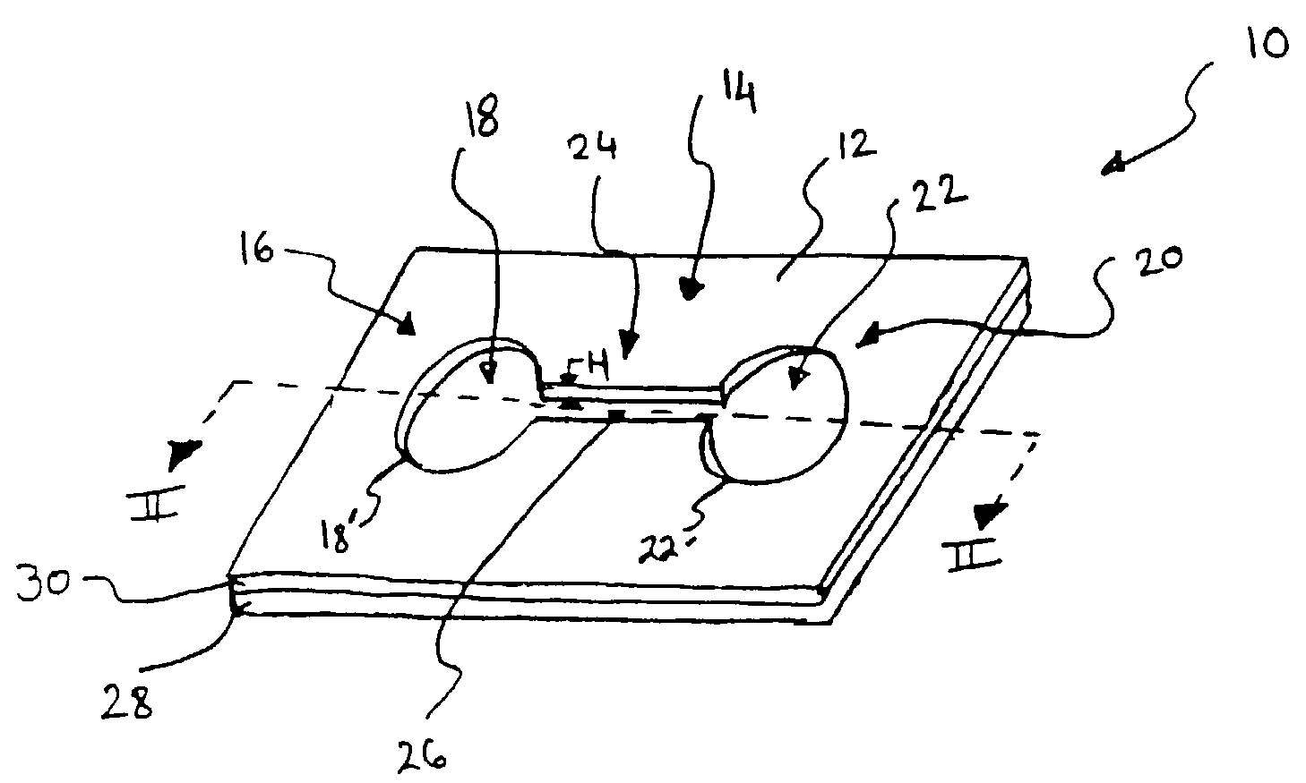 Device and method for monitoring leukocyte migration