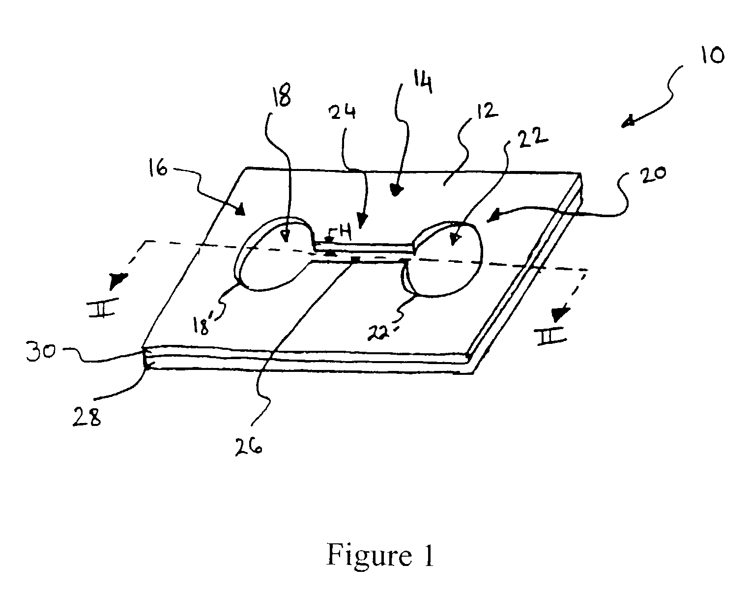 Device and method for monitoring leukocyte migration