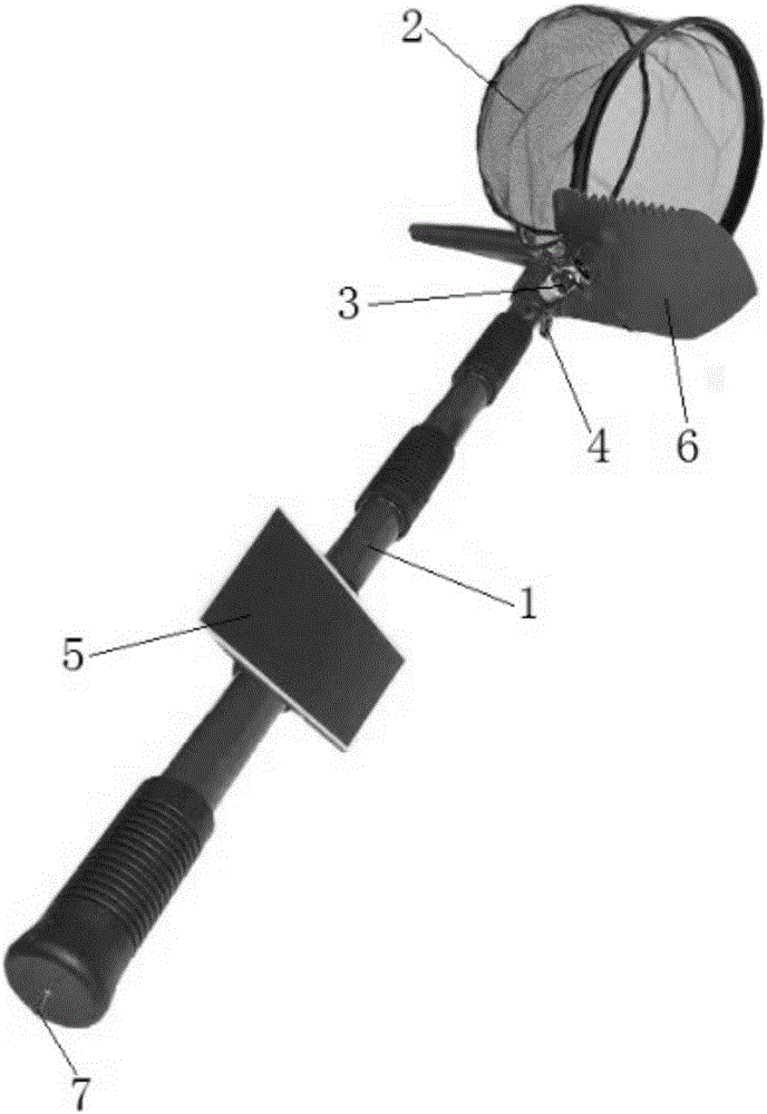 Bee killer, application thereof and bee killing method