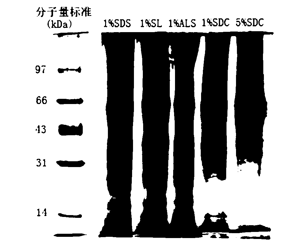 Treatment method of sample for membrane protein analysis identification