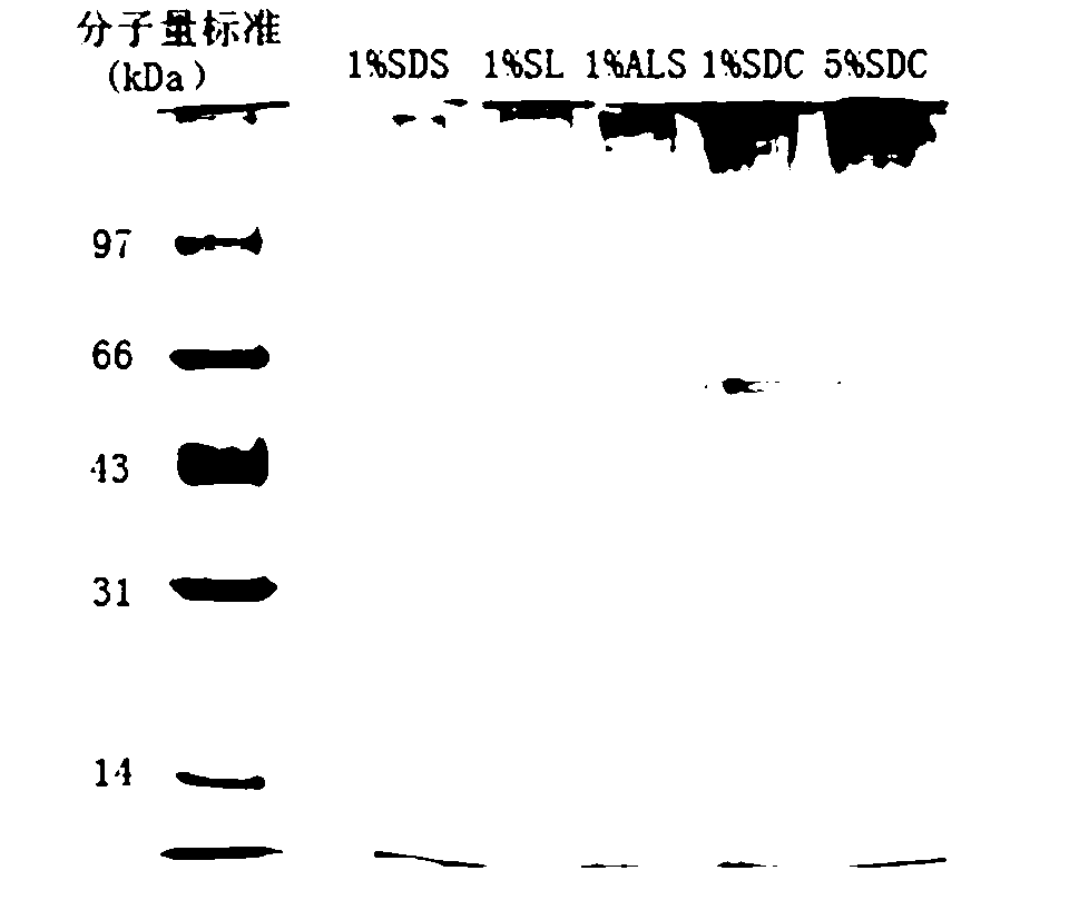 Treatment method of sample for membrane protein analysis identification